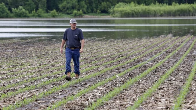 105970160-1560551906917ap_19150115607770-134557_847.jpg Hội đồng khoa học về biến đổi khí hậu của Liên Hợp quốc cảnh báo, biến đổi khí hậu có thể sẽ gây ra một cuộc khủng hoảng lương thực quốc tế. Ảnh: CNBC.